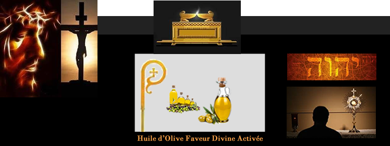banniere module Huile dolive Faveur Divine.fw